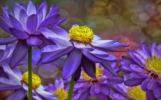 995169 (a): :2880x1800